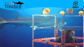 DIA 2 Expo Tiburon164