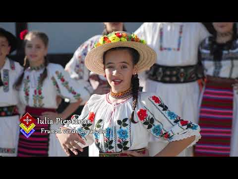 Iulia Pieptanar - Frunza verde urzaci