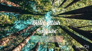 Billie Eilish -Bellyache -ฯ|cover by chinchin|ฯ