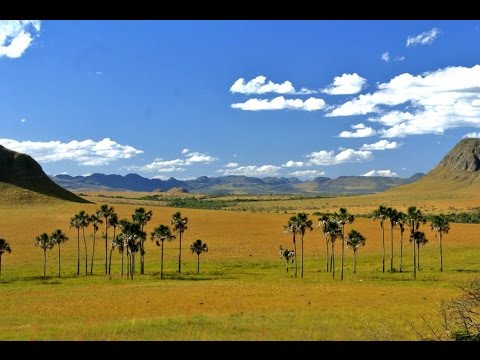 Chapada dos Veadeiros a paradise in the 