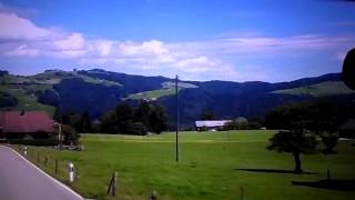 don&#39;t cry my lady love