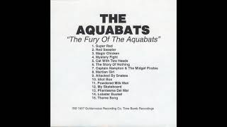 The Aquabats! - Magic Chicken! (Early Mix)