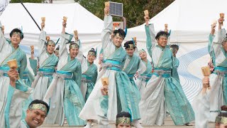 旅鳥 『𝘽𝙖𝙞𝙚𝙨 𝘼𝙧𝙞𝙖』📍ふくのやまよさこい (中央公園) 2025-10-26T15:00