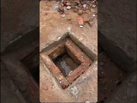 Trabalho em Remígio PB#viral#