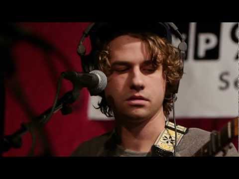 Alligator - The Babies