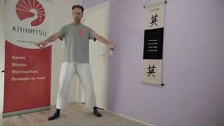 Taiso | Squat Challenge