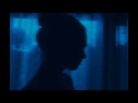 $avage toddy - Timide