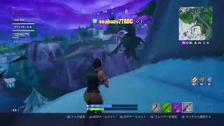 初心者がいくフォートナイト