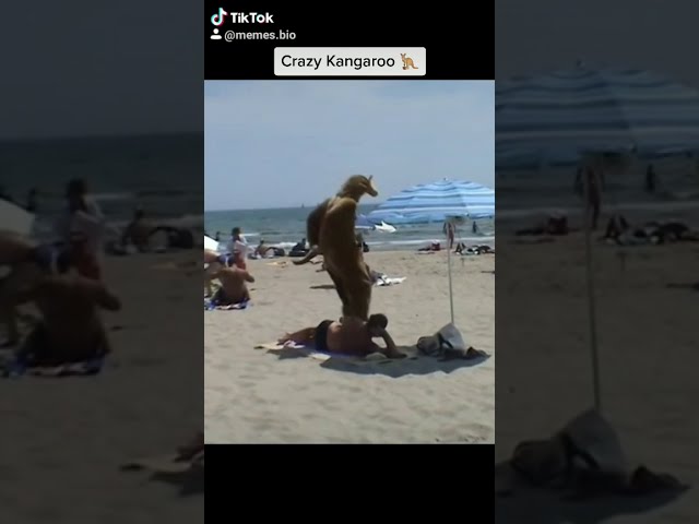 Vídeo relacionado con El club de las canguro 15: Claudia y la broma pesada (Novela gráfica)