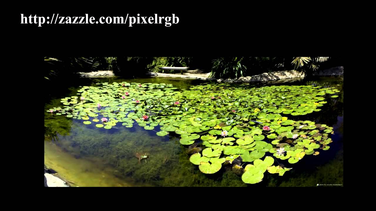 San Diego photos on Zazzle