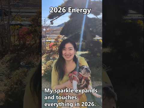 Let Your 2026 Energy Sparkle✨🐴HAPPY NEW YEAR