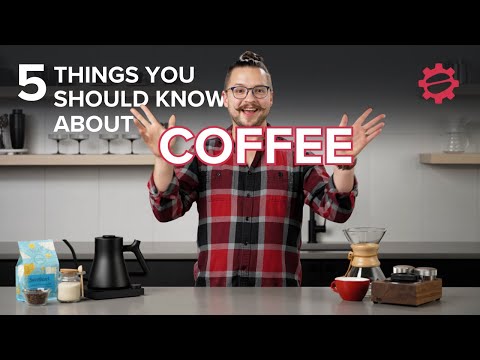The Top 5 Things You NEED To Know About Coffee. Beginners Guide To Coffee! #coffee #espresso