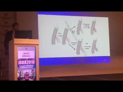 İstanbul Girişimsel Toplantısı, Koç Üniversitesi