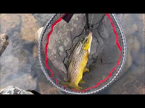 Matka tuntemattomaan I Kalastusvaellus Ruotsin erämaahan