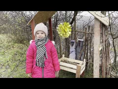 Ce dar ai pentru Isus? - Poezie de Crăciun - Eliseea Mihailiuc