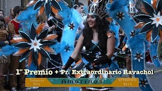 preview picture of video 'Desfile carnaval 2014 Pontevedra'
