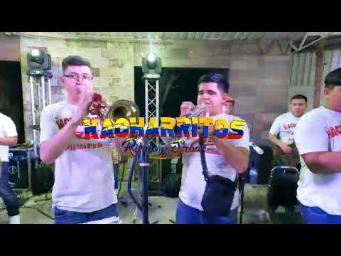 CUMBIA DE LOS SOLTEROS - KACHARRITOS RS