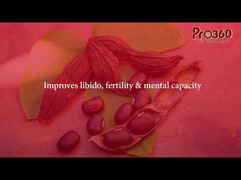 Pro360 Secret Protein Powder -chocolate Flavor Protein Blends (250 G, Chocolate)