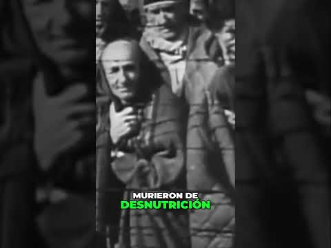 Videoclip de Violencia — Los Prisioneros