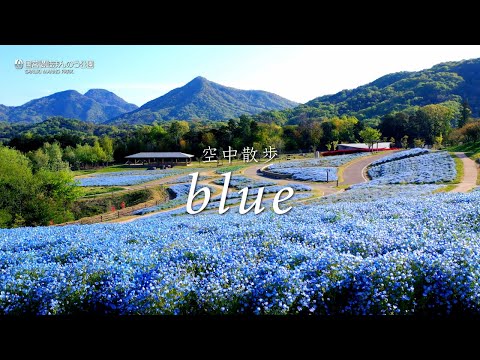 ［4K］空中散歩  “blue”  国営讃岐まんのう公園