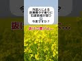 【今更】外国人による、医療費タダ乗りに石破首相が怒り