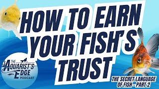How to Build Trust and Communicate with Your Fish