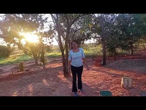 Passeio no Novo Bairro da Cidade de Getulina-sp; Agradecimento a todos que acompanham o meu Canal.