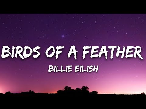 Birds Of A Feather - Billie Eilish (lyrics)| soulyrics7 