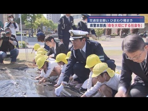 YouTube Video 子どもたちが巻き込まれる事故をなくそう! 交通安全を願ってひまわりの種を植えるイベントが浜松市で開かれる