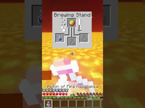 Minecraft Potion and Their Uses | [Hindi]