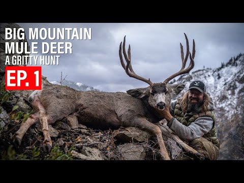 BIG MOUNTAIN MULE DEER | EP. 1 | THE CAGEY CLIFF BUCK | 🎬 GRITTY 4K FILM