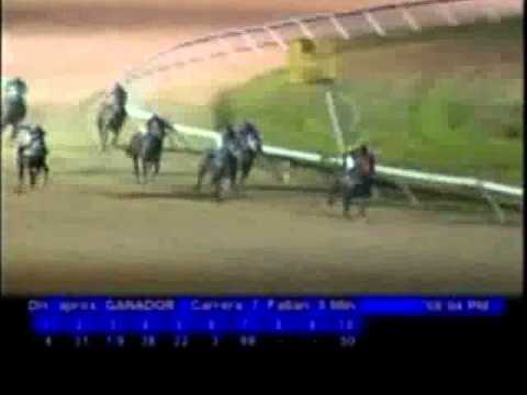 Resumen Viernes, 14 de Octubre de 2011 - Valencia