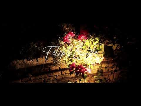 Siempre es ella - Felipe Conde