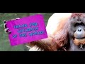 "HELLO MY WORLD!" Helen Doron Campaign to ...