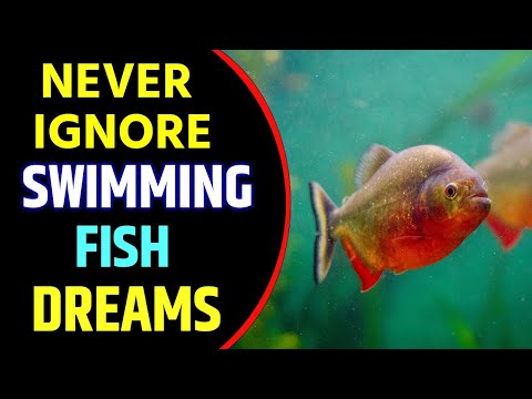Fish Swimming in Water Dream Meaning | Swimming fish Dream Interpretation