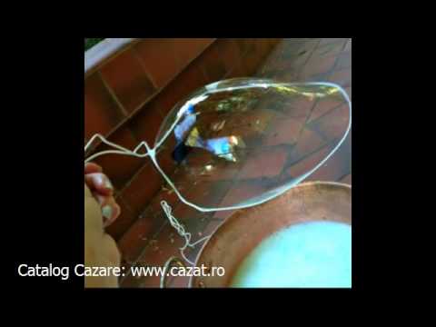 Cazare Intorsura, Dolj - Cazat.ro