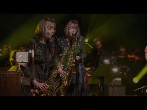 Tvoj vonj - Nada Barle