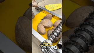 Coconut Brown Skin Grater Machine Coconut Husk Shredder Remover