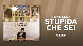 Stupida che sei Music Video