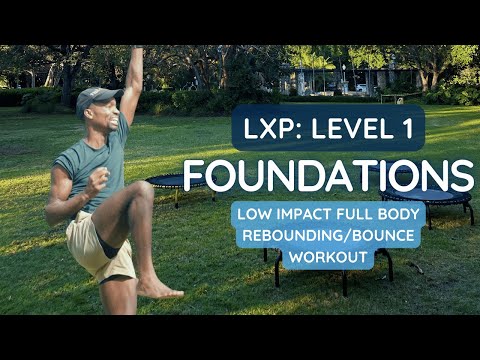 Foundations: level 1, summer 24'