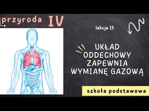 Przyroda klasa 4 [Lekcja 15 - Układ oddechowy zapewnia wymianę gazową]