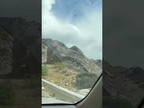 Carretera Austral Chile Chico Fly Fishing Patagonia