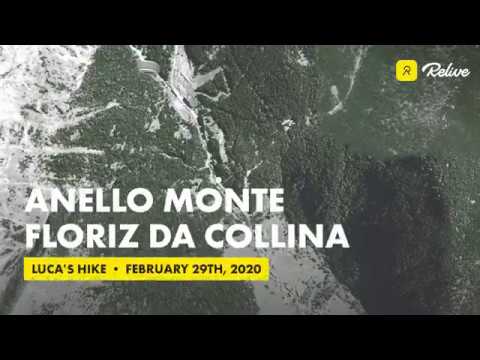 Trekking Anello del Monte Floriz da Collina
