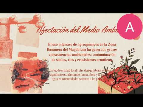 Uso intensivo de agroquímicos en la Magdalena