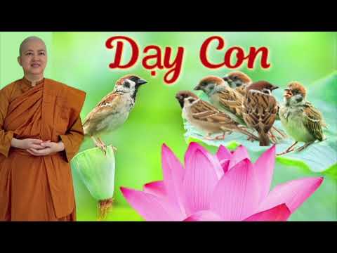 DẠY CON - Chơn Tín Toàn