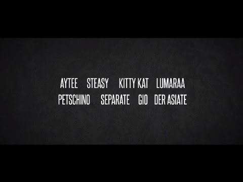 Der Asiate - Allstars feat. Aytee, Steasy, Kitty Kat, Lumaraa, Separate, Petschino, Gio (Video)