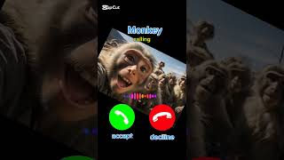 Download lagu #ringtone#calling#monkey #shorts mp3 Download lagu #ringtone#calling#monkey #shorts mp3