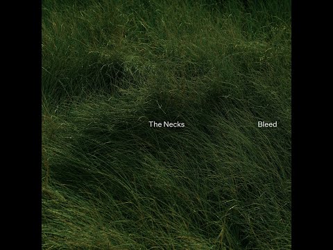 The Necks – Bleed