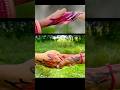 Panchi Bole Hai Kya Funny Dance