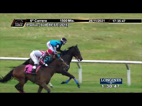 211128 c06 POLIMERASA